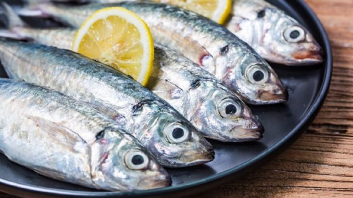 Caballa: 6 beneficios de incorporar alimentos con Omega 3 en tu dieta