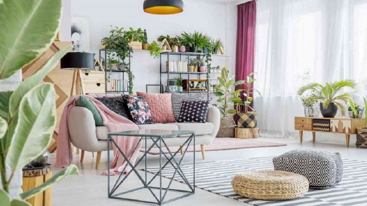 Descubre los increíbles beneficios de decorar con plantas