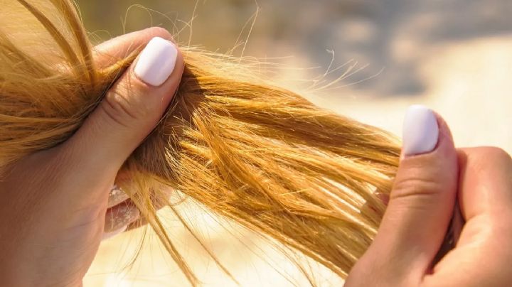 Cuidado del pelo: Prepara esta mascarilla casera y dile adiós a las puntas abiertas