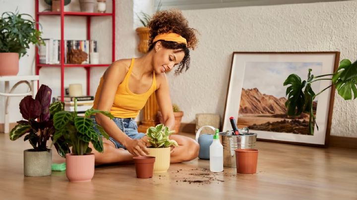 5 usos ecológicos del café en el jardín y la huerta que potenciarán tus plantas