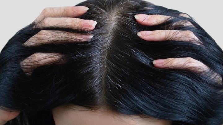 Siete alimentos que mantienen tu cabello oscuro y libre de canas