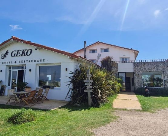 Vacaciones y escapadas con tu Mascota: "Geko Apart" un alojamiento Pet Friendly en Chapadmalal