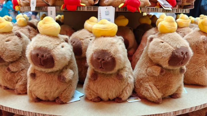 La moda del capibara acapara todo y ahora llegó al pelo