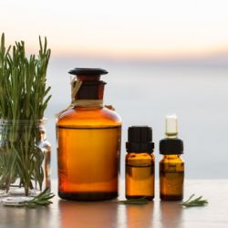 Shampoo casero de romero: el secreto para un cabello fuerte y radiante