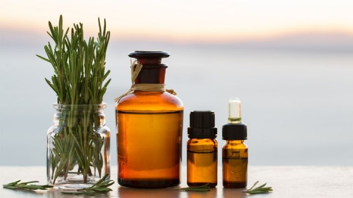 Shampoo casero de romero: el secreto para un cabello fuerte y radiante