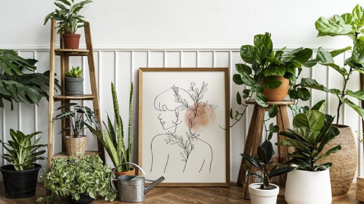El detalle que pasa desapercibido y podría estar afectando la armonía de tu hogar según el Feng Shui