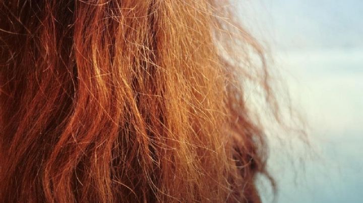 Truco casero: Aprende un método revolucionario para acabar con el encrespamiento del cabello