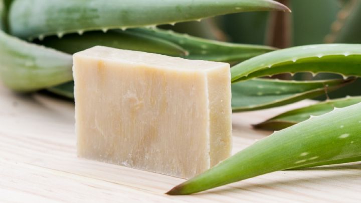 Jabón de Aloe vera casero: el secreto para una piel saludable y radiante