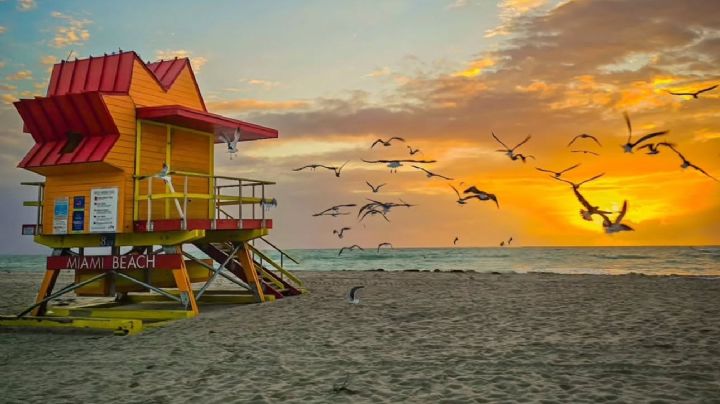 Que hacer en Miami mientras que disfrutás del Mundial de Clubes