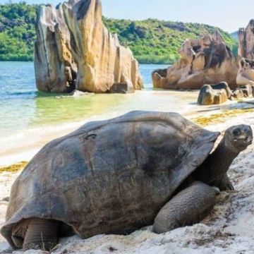 5 Lugares para viajar que resuenan fuerte y son tendencia