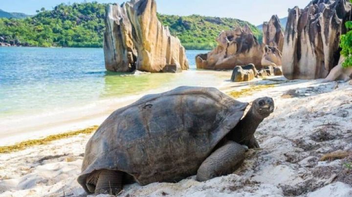 5 Lugares para viajar que resuenan fuerte y son tendencia