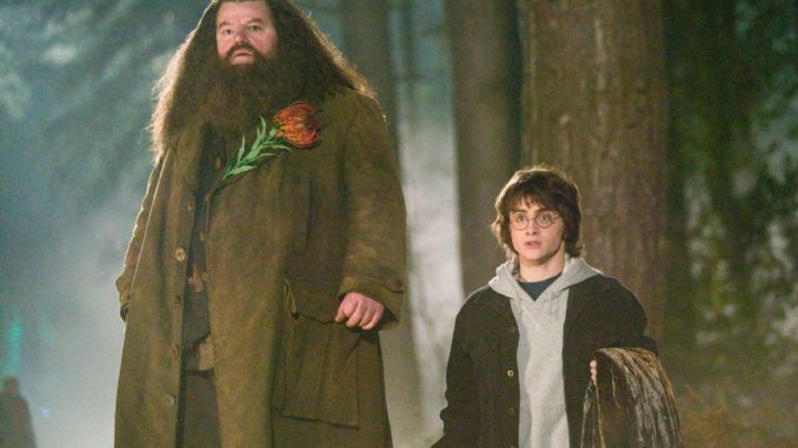 Un nuevo Hagrid llega a Hogwarts: Nick Frost revive al entrañable semigigante en la serie de HBO