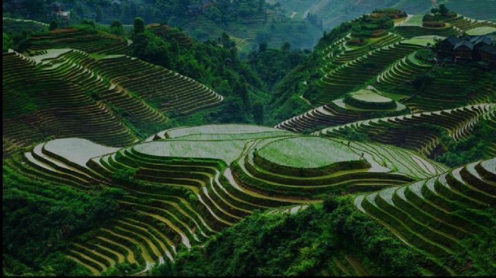 "Descubriendo con Marley y Karina, Yangshuo: paisajes de ensueño en el sur de China"