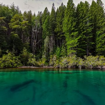 Los Argentinos aman salir de vacaciones sea como sea
