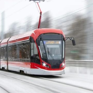 Gratitud sobre ruedas: Luxemburgo mejora la calidad de vida con transporte público 100% gratis