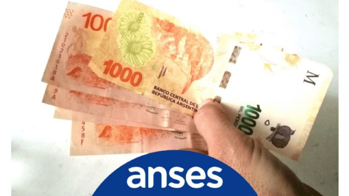ANSES: hoy abre la inscripción para acceder al bono de 5 mil pesos
