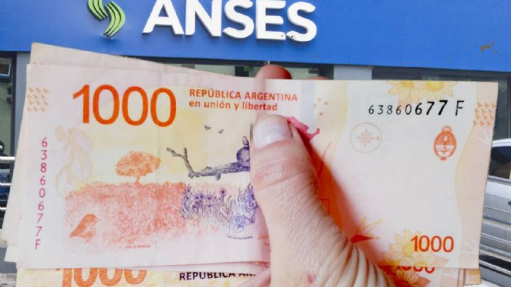 ANSES: enterate si te corresponde cobrar con aumento en octubre