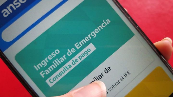 IFE 4: recomiendan actualizar datos en "Mi ANSES" ante el inminente anuncio