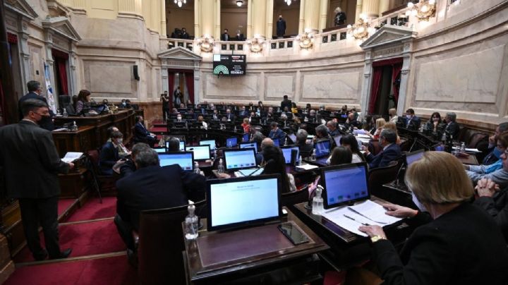 Volvió la presencialidad plena en el Senado: ¿qué temas se debaten?