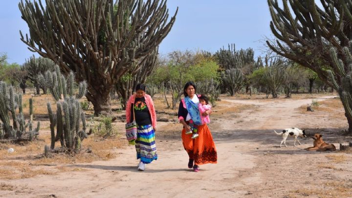 UNICEF y un compromiso con las personas embarazadas de pueblos originarios del norte argentino