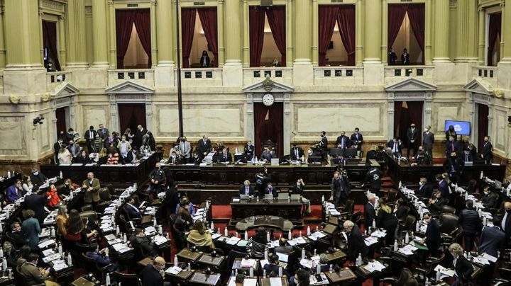 Mujeres al Congreso: gracias a la paridad de género, son cada vez más las mujeres que legislan