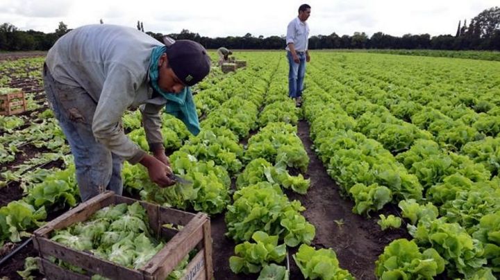 Más de 250.000 trabajadores y trabajadoras rurales mejorarán sus condiciones laborales