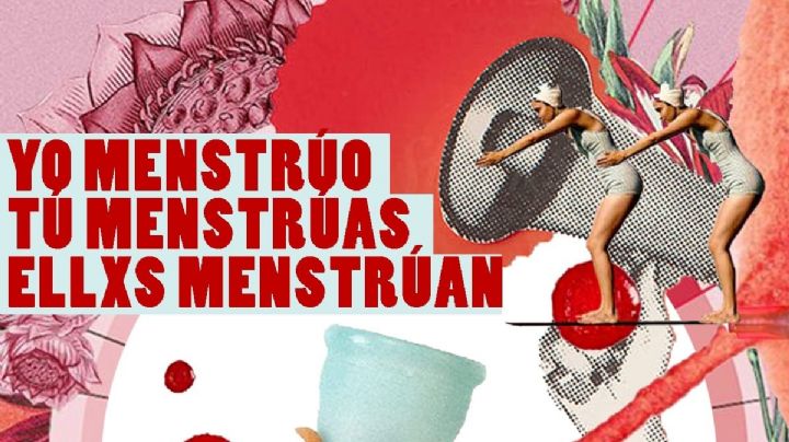 SAN LUIS: se sancionó ley de gestión menstrual sostenible