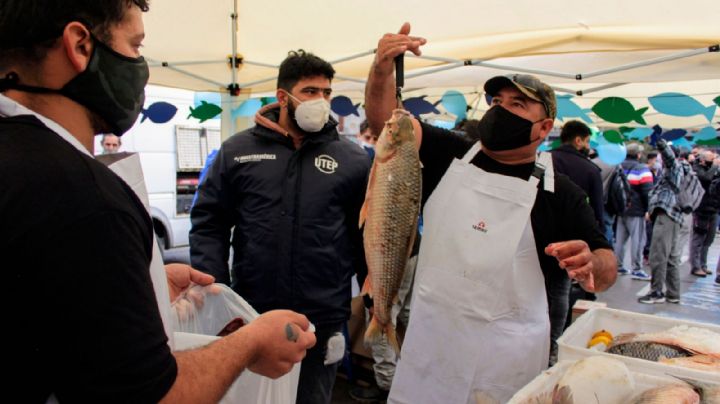 Aprovechá un importante “pescadazo” de río en la Plaza de los dos Congresos