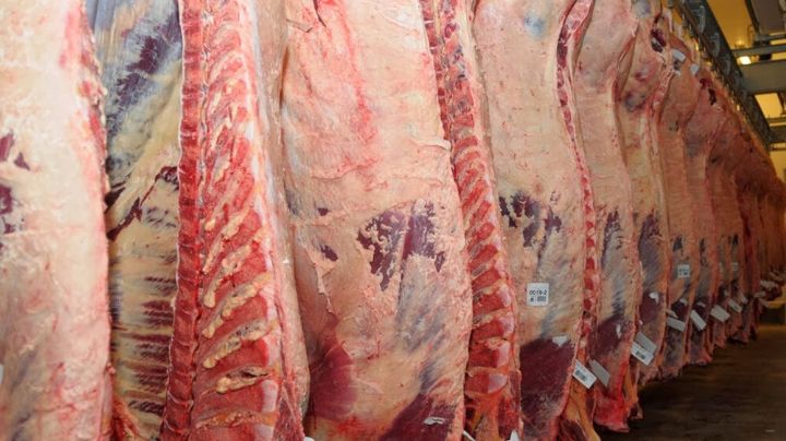 Se agrandan las diferencias internas en el sector del campo sobre la exportación de carne