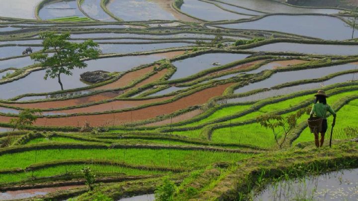 Mirá algunos de los paisajes más asombrosos del mundo