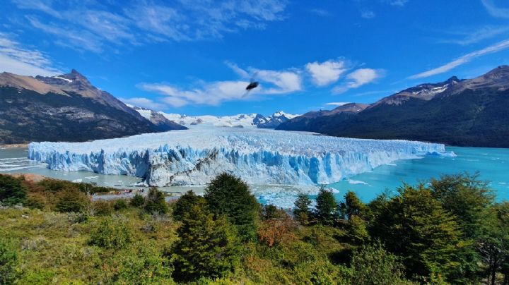 El Calafate te invita a vivir la experiencia entre glaciares