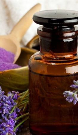 10 razones por las que deberías tener una planta de lavanda en tu hogar