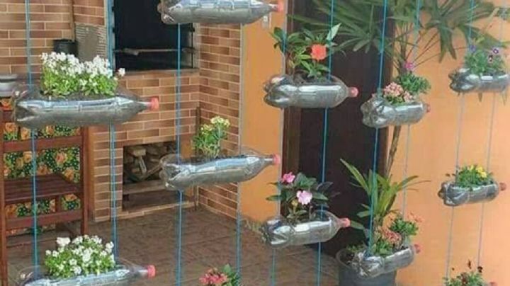 Te mostramos cómo hacer macetas colgantes con botellas plásticas