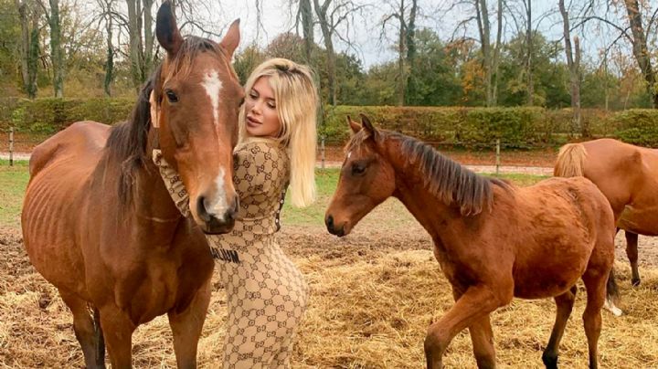 La casa de Wanda Nara, repleta de caballos y colmada de sentir nacional