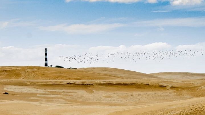 Reservas naturales para hacer turismo en Buenos Aires