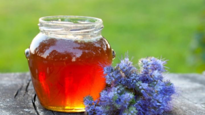 Los increíbles usos de la miel en la huerta y el jardín