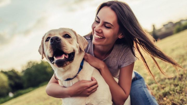 Como funcionan las cosquillas en tu perro