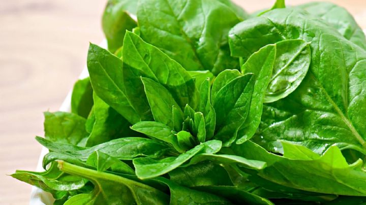Rica en minerales y vitaminas, la Espinaca ofrece su poder preventivo y regenerador