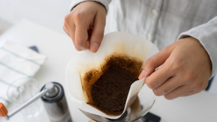 Te traemos 5 usos para darle al café antes de tirarlo