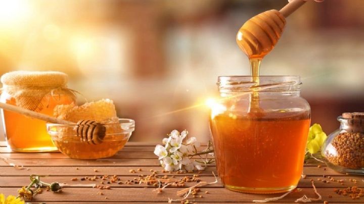 Beneficios y propiedades medicinales de la miel al alcance de tu mano