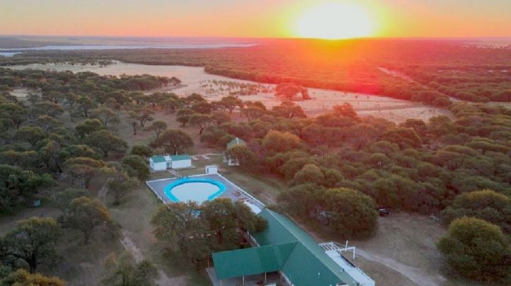 Un bosque único en el mundo está ubicado en el corazón de La Pampa, descubrilo