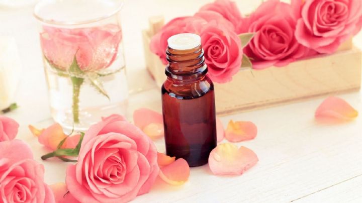 Haz tu propio aceite esencial de rosa y aprovecha sus beneficios espirituales