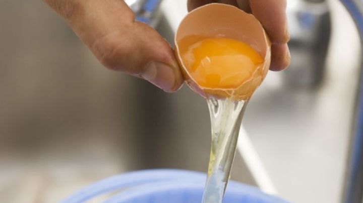 Este es el truco viral más simple para detectar huevos podridos en el maple