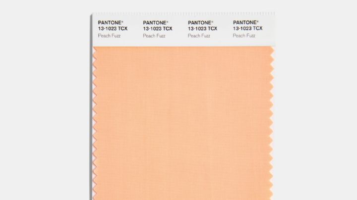 Peach Fuzz: características y curiosidades del color del año 2024 según Pantone