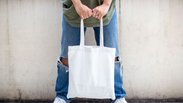 Tote bag, te mostramos cómo hacer vos misma el accesorio de moda para las compras