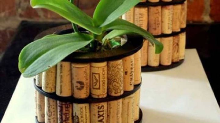 No lo tires, reutiliza los corchos de tus botellas para hacer nuevos elementos de decoración