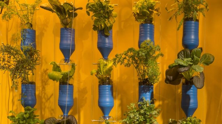 No lo tires, transforma botellas plásticas en un jardín vertical