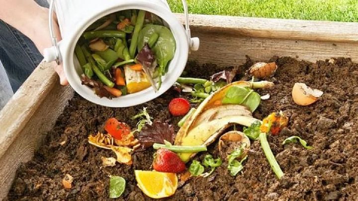 Huerta urbana: cómo hacer para transformar tu basura en compost