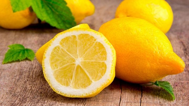 Cultiva un hermoso limonero con un limón y este truco de jardinería