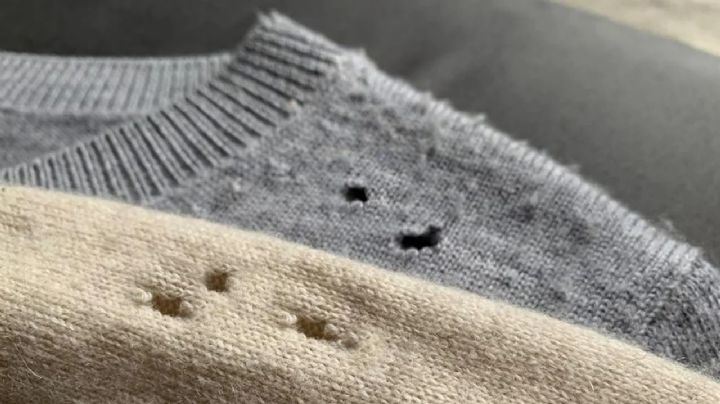 Por qué aparecen agujeros en tu ropa y qué puedes hacer para evitarlo